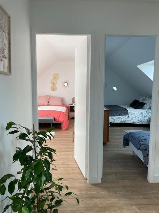 Appartement Cosy Sous Les Toits Lion-sur-Mer Buitenkant foto